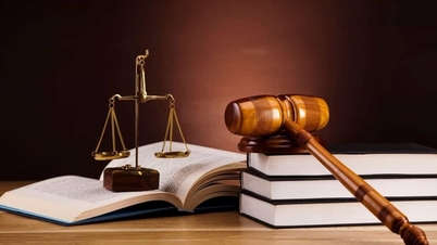 قانونی نظام کے ڈھانچے کو بہتر بنانے کی ضرورت پر لوگوں اور کاروباری اداروں کا سروے