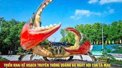 2025 میں دوسرے Ca Mau Crab Festival کو فروغ دینے کے لیے مواصلاتی منصوبہ بندی