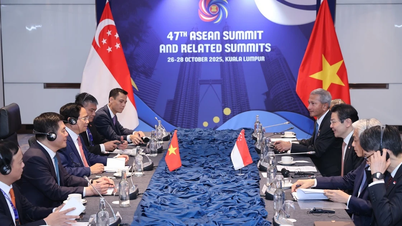 Việt Nam luôn là đối tác quan trọng của Singapore trong khu vực