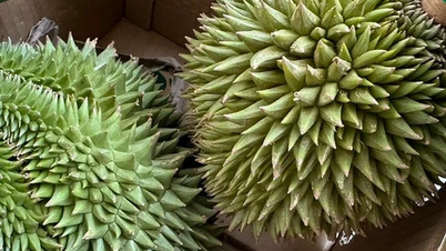 Cadmium 'វិញ្ញាណអាក្រក់' នៃទុរេននឹងត្រូវបានហាមឃាត់នៅក្នុងប្រទេសវៀតណាម