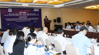 Workshop on Coordination Model - Integrated Development and Operation Mechanism for Ho Chi Minh City