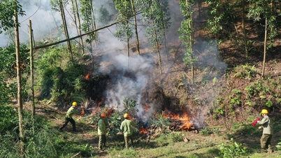 Bac Ninh: Avertizare privind riscul de incendii forestiere în multe comune din vechiul district Son Dong, la un nivel periculos