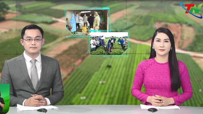 Thai Nguyen sürgősen helyreállítja a mezőgazdasági termelést a történelmi árvizek után