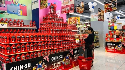 Creșterea fluxurilor de capital străin, oportunități pe termen lung pentru industria de consum și comerț cu amănuntul din Vietnam