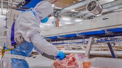 Industria cărnii din Vietnam pe calea modernizării, cu noi tendințe de consum