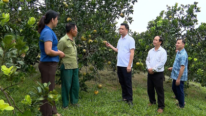 Lao Cai-bönder konkurrerar i god produktion och affärer