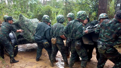 Brigada 368 (Região Militar 5) realiza exercícios táticos abrangentes