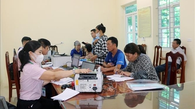 Reduce lending interest rates for some policy credit programs