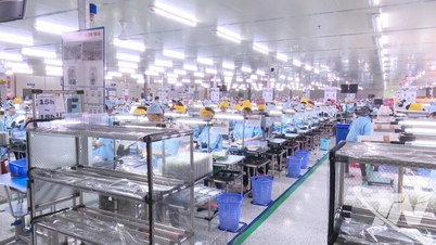 Continuar a afirmar a atracção de investimento nos parques industriais de Thai Nguyen