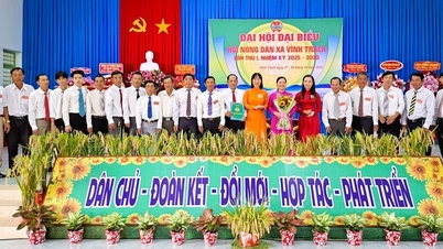 Setiap tahun, komune Vinh Trach mempunyai hampir 800 isi rumah pertanian dan perniagaan yang baik.
