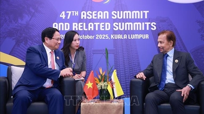 Le Premier ministre Pham Minh Chinh rencontre les dirigeants du Brunei Darussalam, de la Malaisie et du Timor-Leste