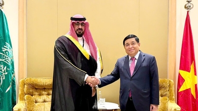 Vær oppmerksom på og utvikle økonomisk samarbeid mellom Vietnam og Saudi-Arabia