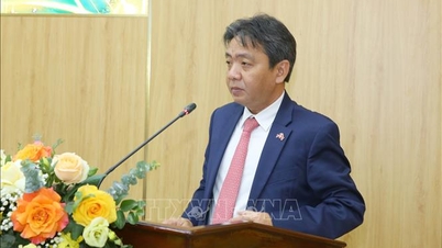 Recondução do Vice-Ministro da Cultura, Desporto e Turismo, Hoang Dao Cuong