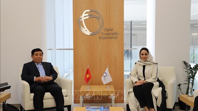 Promover a cooperação em investimentos de alta qualidade entre o Vietname, a Arábia Saudita e a região do Médio Oriente