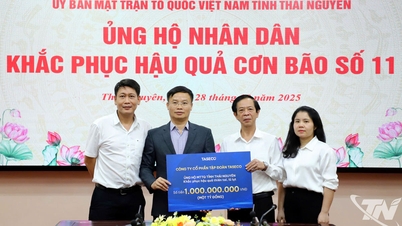 Taseco Group støtter Thai Nguyen-provinsen med 1 milliard VND for å overvinne konsekvensene av naturkatastrofer