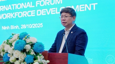 Vietnam stärker internationellt samarbete för att utveckla högkvalitativa digitala mänskliga resurser