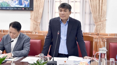 The Ministry of Foreign Affairs presides over reviewing and perfecting the Law on Representative Agencies.