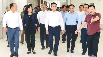 Başbakan Yardımcısı Le Thanh Long, Ninh Binh'deki Bach Mai Hastanesi Tesis 2 ve Viet Duc Dostluk Hastanesi Projesi'ni inceledi