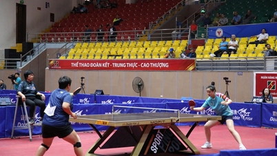42 joueurs participent au Tournoi national de tennis de table 2025 pour les raquettes d'excellence