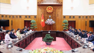 El viceprimer ministro Bui Thanh Son recibió al vicegobernador de la provincia de Guangdong.