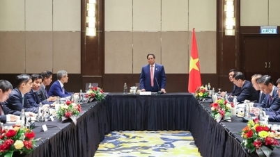 Prime Minister Pham Minh Chinh meets Vietnamese Ambassadors to ASEAN countries