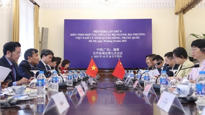 The 9th Conference on coordination of cooperation between ministries, branches and localities of Vietnam and Guangdong province, China