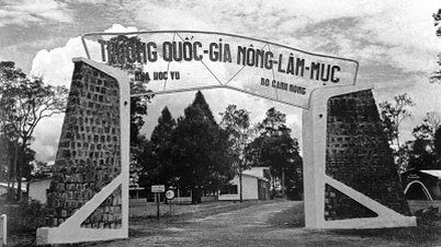 70 ans de voyage pour construire une université multidisciplinaire et multi-recherche de l'Université d'agriculture et de foresterie de Hô-Chi-Minh-Ville