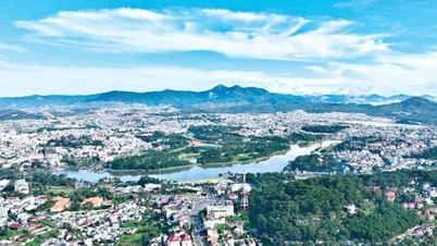 लाम डोंग 50 वर्षों का स्थिर विकास