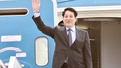El presidente Luong Cuong se reunirá con los líderes de las economías de APEC y las principales corporaciones del mundo.