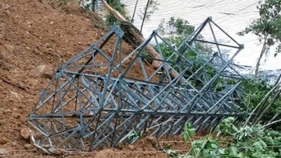 Conserte urgentemente o deslizamento de terra que causou a queda do poste elétrico de 110 kV de Phuoc Son.