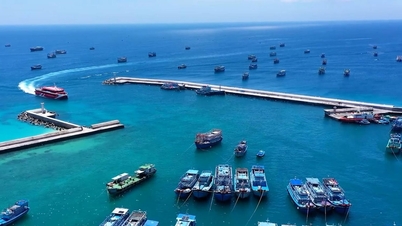 ลัมดงเผชิญความท้าทาย IUU: เส้นทางสู่การประมงที่รับผิดชอบและยั่งยืน