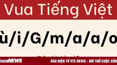 Câu đố khiến 'bậc thầy ngôn ngữ' cũng phải bối rối