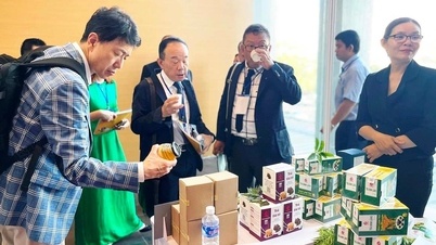 Asal usul yang jelas, mudah dilacak: Manfaatkan untuk meningkatkan produk pertanian Gia Lai