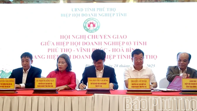 Převod z Obchodní asociace 3 provincií Phu Tho-Vinh Phuc-Hoa Binh do Obchodní asociace provincie Phu Tho