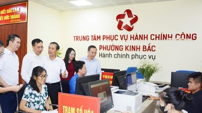 باك نينه تثبيت الجهاز وتحسين جودة الخدمة المقدمة للناس