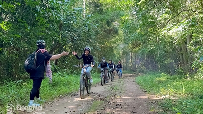 Versnel de uitvoering van de Mai-waterval - Bau Nuoc Soi Ecotourism and Resort Project