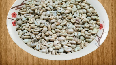 ল্যাম ডং কফি বিশ্ব মানচিত্রে তার অবস্থান নিশ্চিত করেছে