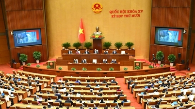 Firmy potřebují mechanismus, jak s jistotou investovat do ochrany životního prostředí.