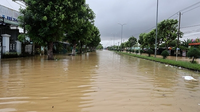 Hue şehrinden Quang Ngai'ye kadar şiddetli yağışlar devam ediyor, ani sel ve toprak kayması riski yüksek