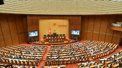 Bugün Ulusal Meclis'te sosyo-ekonomik konular ve çok sayıda önemli rapor görüşüldü.