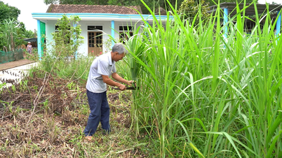 The “key” to improving the effectiveness of multidimensional poverty reduction