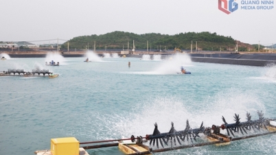 Ngành thủy sản bứt phá vượt bậc