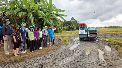 Ukázka mechanizovaného zahrabávání slámy v kombinaci s aplikací biologických produktů pro zlepšení zdraví půdy