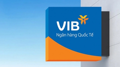 VIB công bố lợi nhuận 9 tháng hơn 7.040 tỷ đồng, chi trả 21% cổ tức 2025