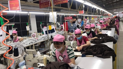 Îmbunătățiți viața lucrătoarelor