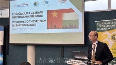 ความสัมพันธ์ 75 ปีเวียดนาม-ฮังการี: เสริมสร้างการเชื่อมโยงและความร่วมมือทางธุรกิจ