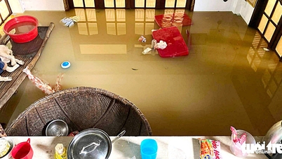 بارش کے موسم میں سردی، صحت کی حفاظت کیسے کی جائے؟