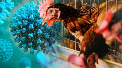 Experts warn that the H9N2 flu strain is adapting to the human body.