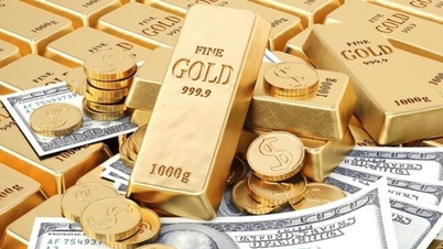 اعتبارًا من 1 نوفمبر 2025، سيتم تطبيق العديد من السياسات النقدية والمصرفية الجديدة.