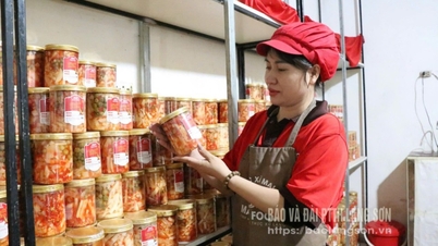 Från traditionell till OCOP